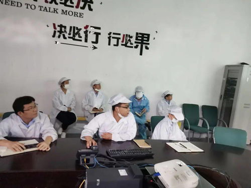 第十一事業(yè)部涂裝深圳工廠(chǎng)成功舉辦技術(shù)交流活動(dòng)，共促工藝革新與質(zhì)量提升
